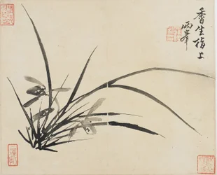 Landskap, blommor och fåglar: orkidé, Qingdynastin, 1780